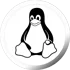 Pakistan Linux Hosting