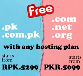 free pk domain